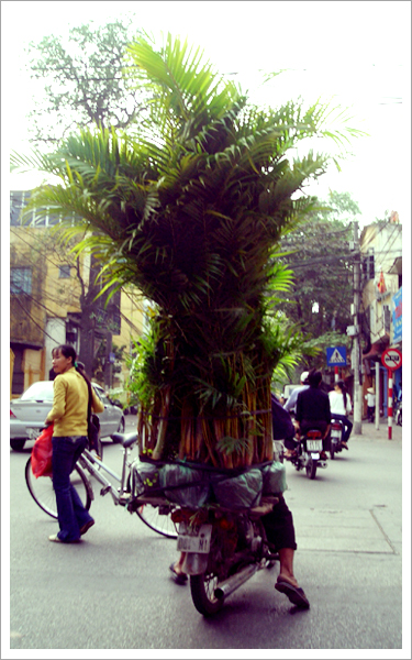 title: Vietnam Hanoi City