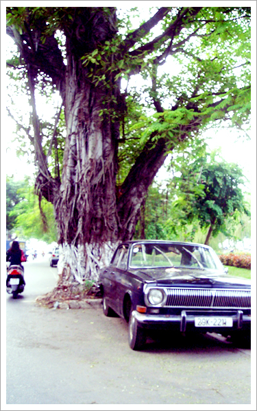 title: Vietnam Hanoi City