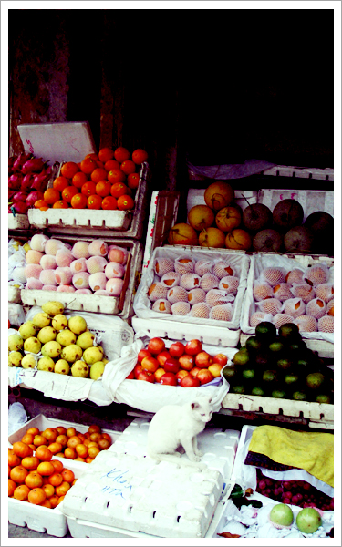 title: Vietnam Hanoi City